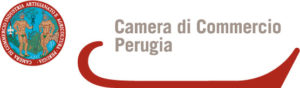 camara commercio