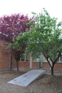 barriere architettoniche scuola mazzini