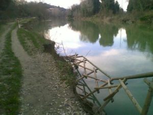 percorso verde danni