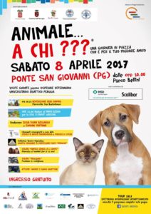 “Animale a chi ?” evento per cani e padroni