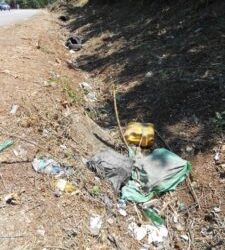Via Cestellini uno scempio dopo il taglio della vegetazione sulla scarpata della superstrada