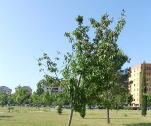 Via San Girolamo e parco di Via della Scuola