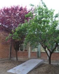 La scuola Mazzini abbatte le barriere architettoniche